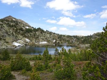 L&auml;nge der Strecke ist variierbar